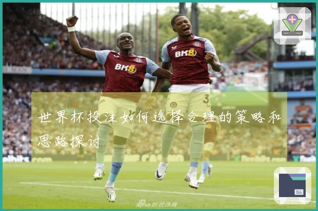 世界杯投注如何选择合理的策略和思路探讨