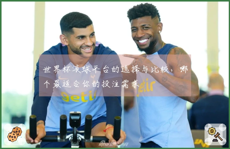世界杯滚球平台的选择与比较，哪个最适合你的投注需求
