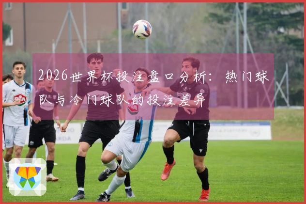 2026世界杯投注盘口分析：热门球队与冷门球队的投注差异