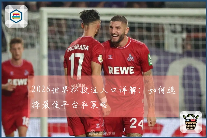 2026世界杯投注入口详解：如何选择最佳平台和策略