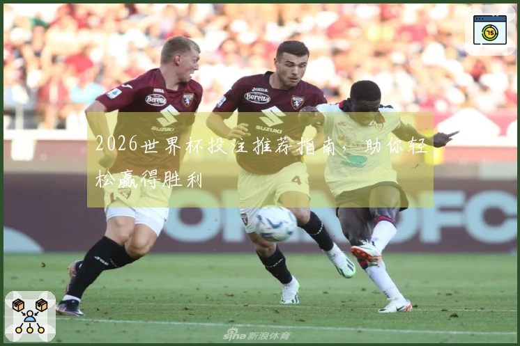 2026世界杯投注推荐指南，助你轻松赢得胜利