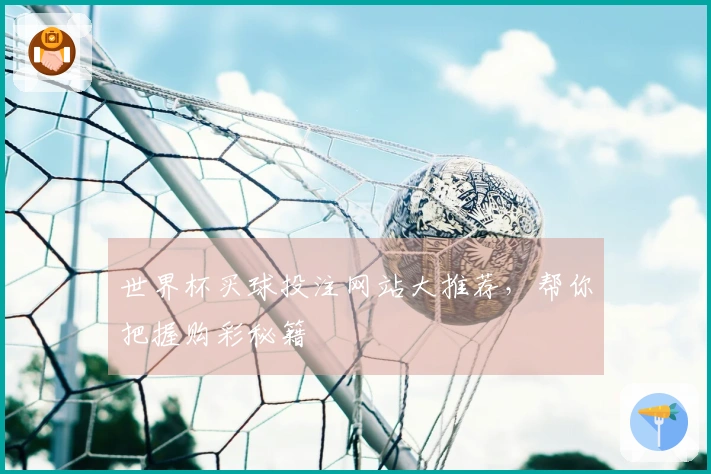 世界杯买球投注网站大推荐，帮你把握购彩秘籍