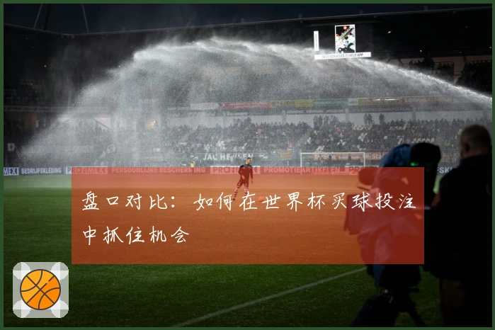 盘口对比：如何在世界杯买球投注中抓住机会