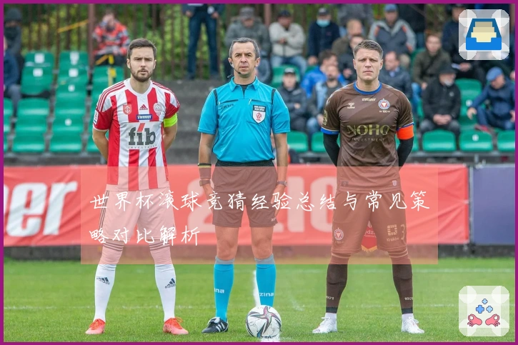 世界杯滚球竞猜经验总结与常见策略对比解析
