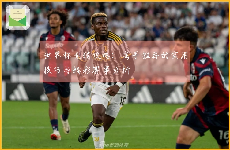 世界杯竞猜攻略：高手推荐的实用技巧与精彩赛事分析