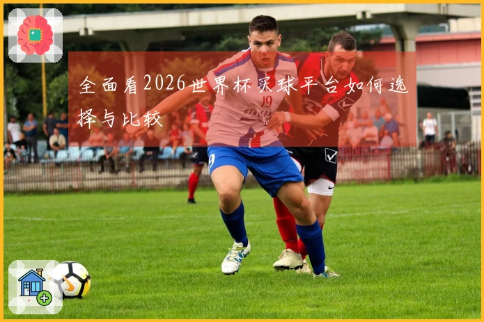 全面看2026世界杯买球平台如何选择与比较