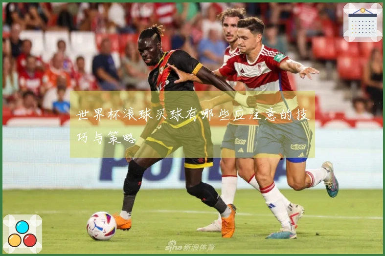 世界杯滚球买球有哪些应注意的技巧与策略