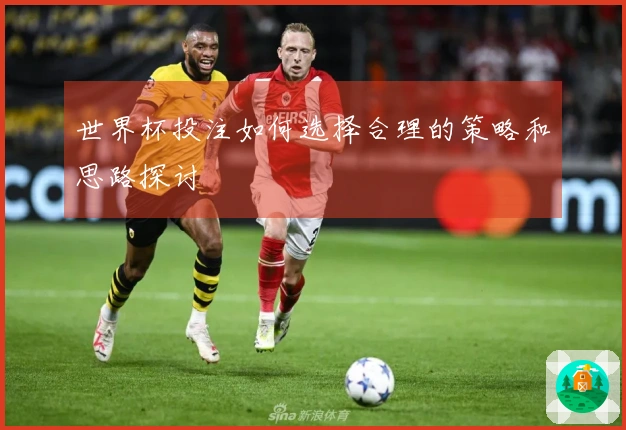 世界杯投注如何选择合理的策略和思路探讨