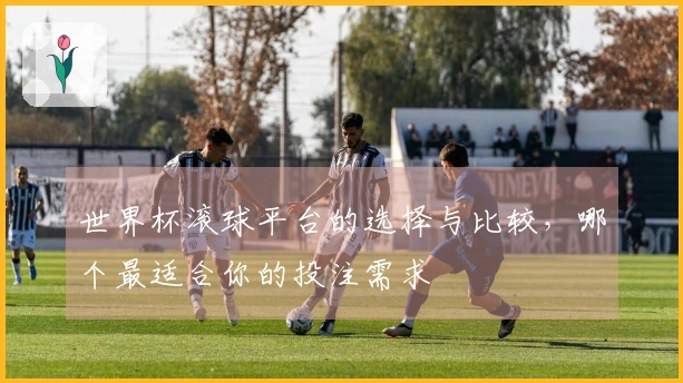 世界杯滚球平台的选择与比较，哪个最适合你的投注需求