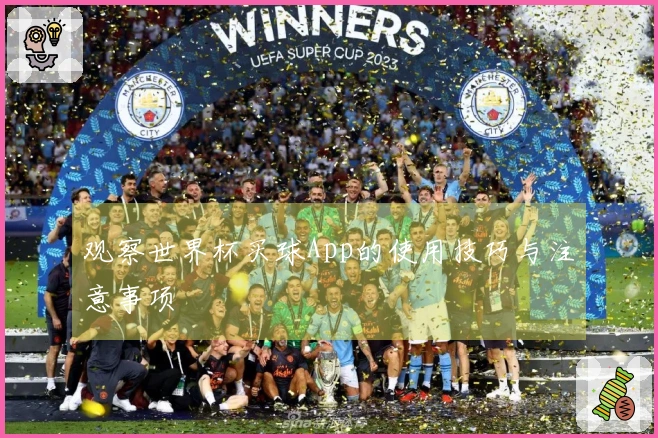 观察世界杯买球App的使用技巧与注意事项