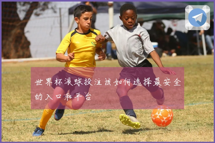 世界杯滚球投注该如何选择最安全的入口和平台