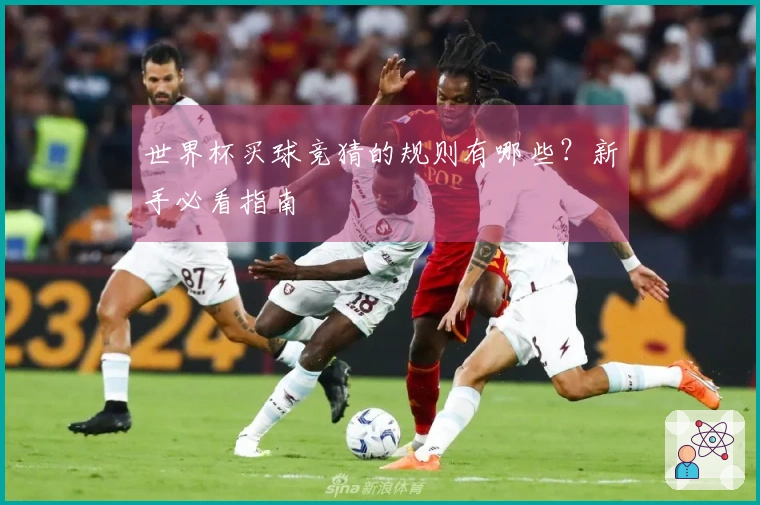 世界杯买球竞猜的规则有哪些？新手必看指南