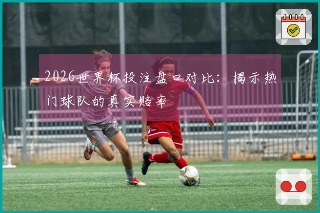 2026世界杯投注盘口对比：揭示热门球队的真实赔率